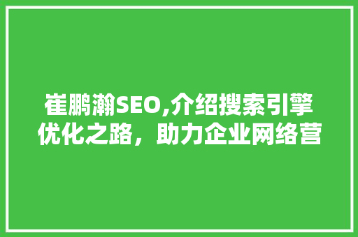 崔鹏瀚SEO,介绍搜索引擎优化之路，助力企业网络营销 神马SEO