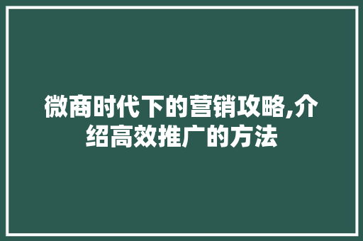 微商时代下的营销攻略,介绍高效推广的方法 百度SEO