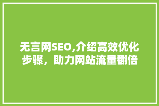 无言网SEO,介绍高效优化步骤，助力网站流量翻倍 SEO关键词