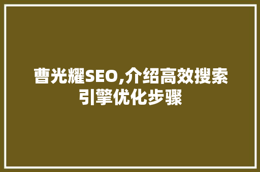 曹光耀SEO,介绍高效搜索引擎优化步骤 SEO关键词