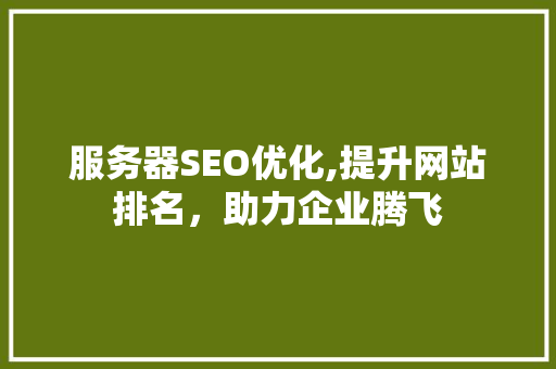 服务器SEO优化,提升网站排名，助力企业腾飞 SEO关键词