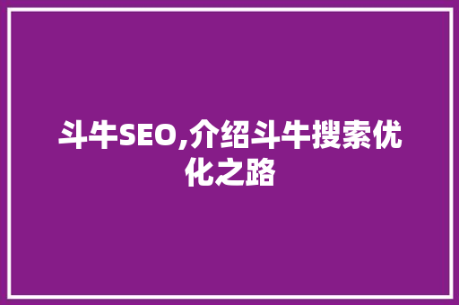 斗牛SEO,介绍斗牛搜索优化之路
