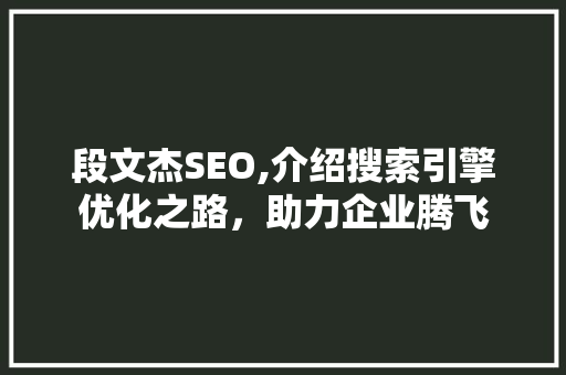 段文杰SEO,介绍搜索引擎优化之路，助力企业腾飞 SEO关键词