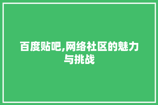 百度贴吧,网络社区的魅力与挑战 必应SEO