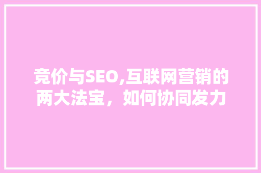 竞价与SEO,互联网营销的两大法宝，如何协同发力