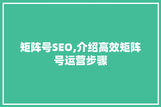 矩阵号SEO,介绍高效矩阵号运营步骤 网站建设公司