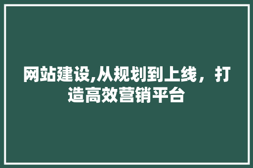 网站建设,从规划到上线，打造高效营销平台
