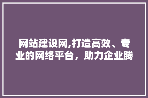 网站建设网,打造高效、专业的网络平台，助力企业腾飞