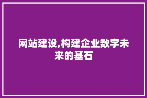 网站建设,构建企业数字未来的基石 神马SEO