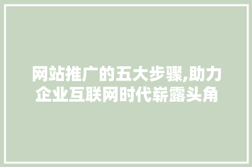 网站推广的五大步骤,助力企业互联网时代崭露头角