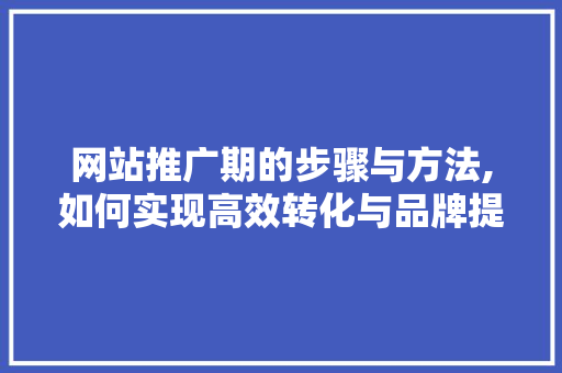 网站推广期的步骤与方法,如何实现高效转化与品牌提升 神马SEO