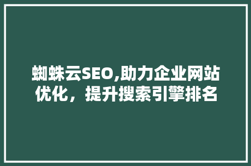 蜘蛛云SEO,助力企业网站优化，提升搜索引擎排名