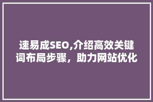 速易成SEO,介绍高效关键词布局步骤，助力网站优化 SEO关键词
