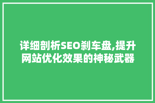 详细剖析SEO刹车盘,提升网站优化效果的神秘武器