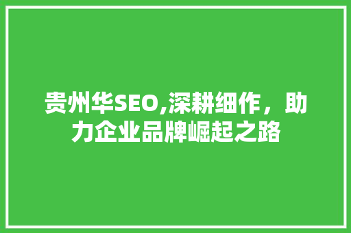 贵州华SEO,深耕细作，助力企业品牌崛起之路 搜狗SEO