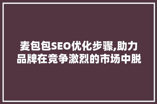 麦包包SEO优化步骤,助力品牌在竞争激烈的市场中脱颖而出 SEO关键词