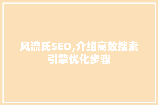 风流氏SEO,介绍高效搜索引擎优化步骤