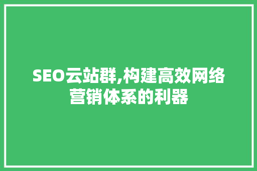 SEO云站群,构建高效网络营销体系的利器 SEO关键词