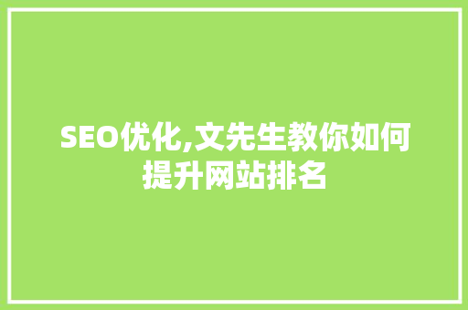SEO优化,文先生教你如何提升网站排名