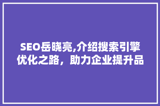 SEO岳晓亮,介绍搜索引擎优化之路，助力企业提升品牌影响力