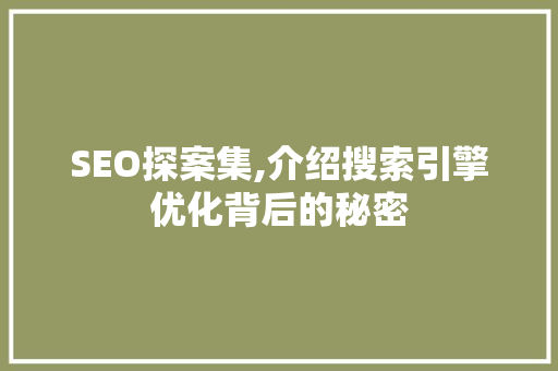 SEO探案集,介绍搜索引擎优化背后的秘密
