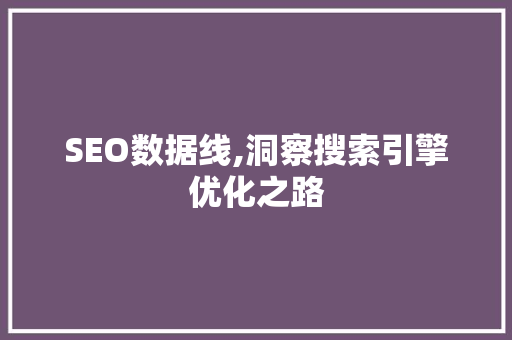 SEO数据线,洞察搜索引擎优化之路