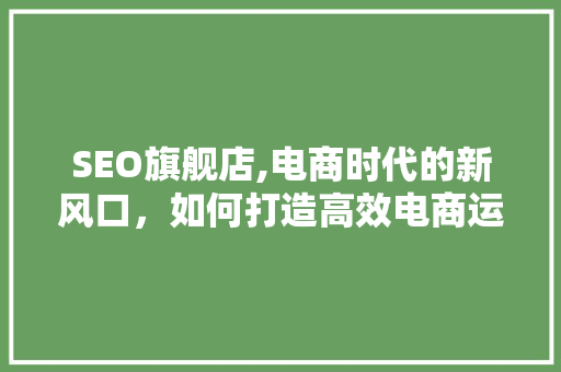 SEO旗舰店,电商时代的新风口，如何打造高效电商运营步骤