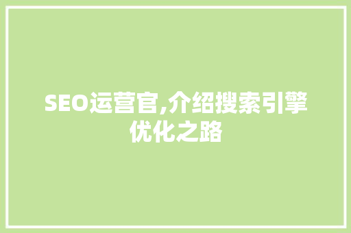 SEO运营官,介绍搜索引擎优化之路