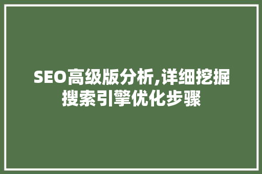 SEO高级版分析,详细挖掘搜索引擎优化步骤 SEO关键词