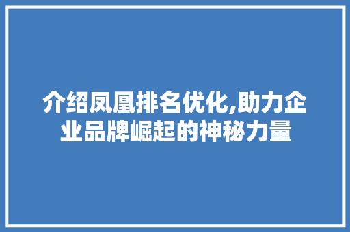 介绍凤凰排名优化,助力企业品牌崛起的神秘力量 搜狗SEO
