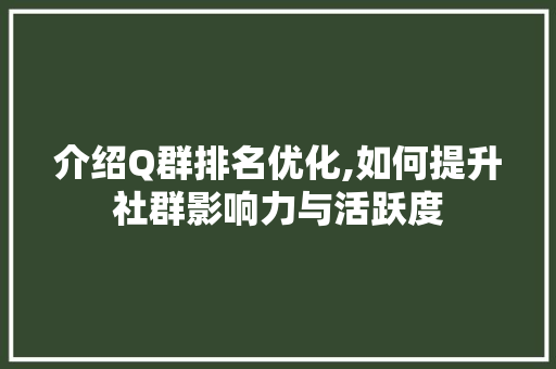 介绍Q群排名优化,如何提升社群影响力与活跃度
