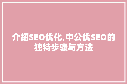 介绍SEO优化,中公优SEO的独特步骤与方法