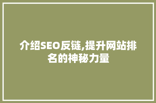 介绍SEO反链,提升网站排名的神秘力量