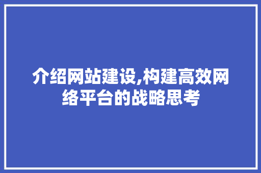 介绍网站建设,构建高效网络平台的战略思考 SEO关键词