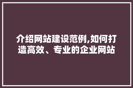 介绍网站建设范例,如何打造高效、专业的企业网站