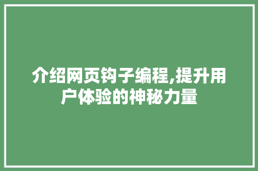 介绍网页钩子编程,提升用户体验的神秘力量