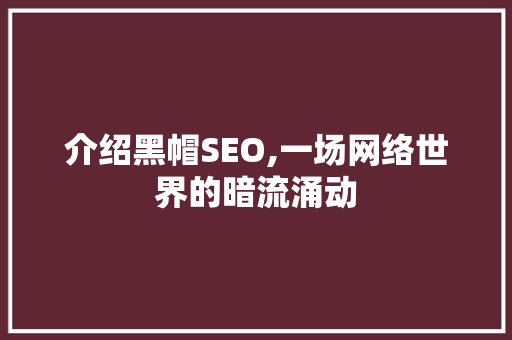 介绍黑帽SEO,一场网络世界的暗流涌动 SEO关键词