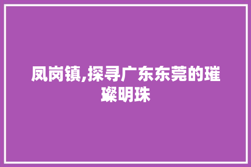 凤岗镇,探寻广东东莞的璀璨明珠