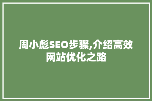 周小彪SEO步骤,介绍高效网站优化之路