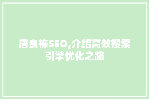 唐良栋SEO,介绍高效搜索引擎优化之路