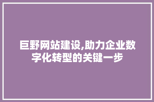 巨野网站建设,助力企业数字化转型的关键一步 搜狗SEO