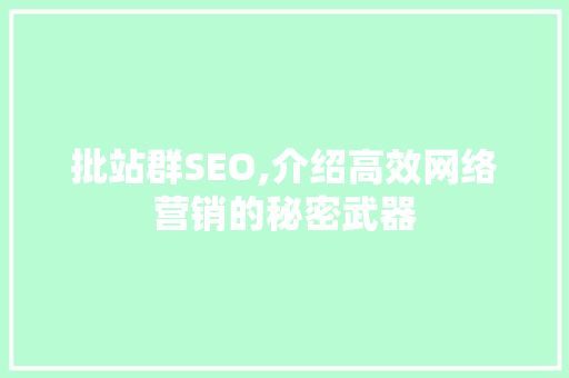 批站群SEO,介绍高效网络营销的秘密武器 网站建设公司