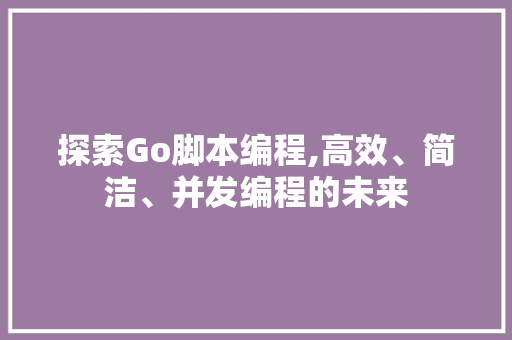 探索Go脚本编程,高效、简洁、并发编程的未来 百度SEO