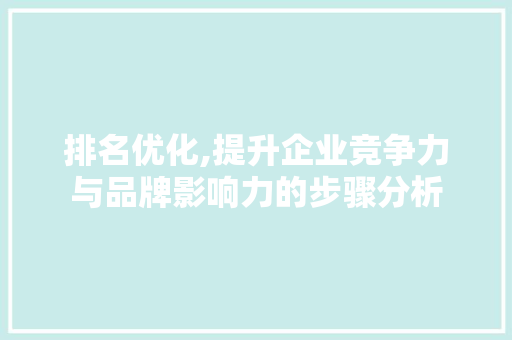 排名优化,提升企业竞争力与品牌影响力的步骤分析 百度SEO