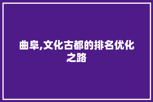 曲阜,文化古都的排名优化之路