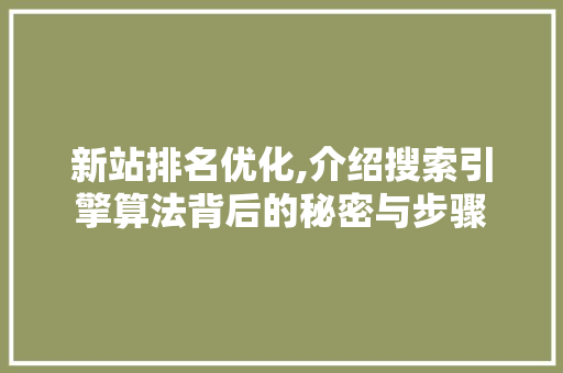 新站排名优化,介绍搜索引擎算法背后的秘密与步骤