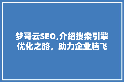梦哥云SEO,介绍搜索引擎优化之路，助力企业腾飞