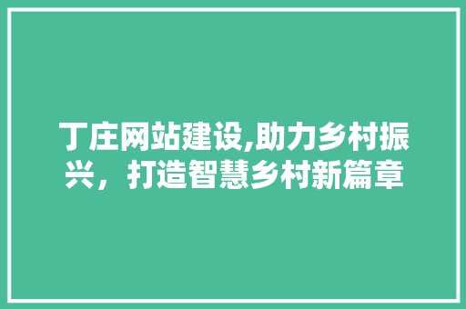 丁庄网站建设,助力乡村振兴，打造智慧乡村新篇章