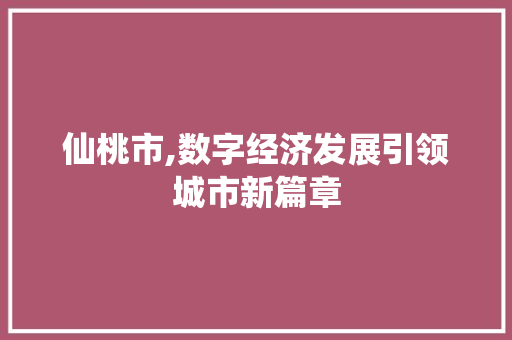 仙桃市,数字经济发展引领城市新篇章