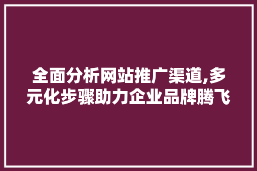全面分析网站推广渠道,多元化步骤助力企业品牌腾飞